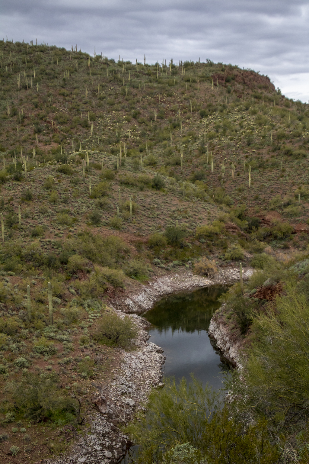 Water in Arizona