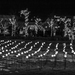 Field of Lights