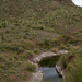 Water in Arizona