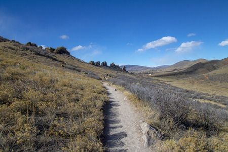 Busy Trail