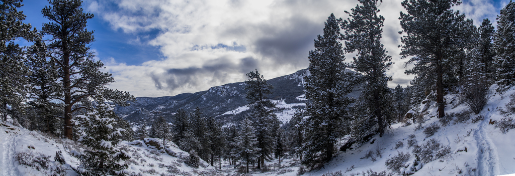 Trail Panorama