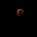 Blood Moon