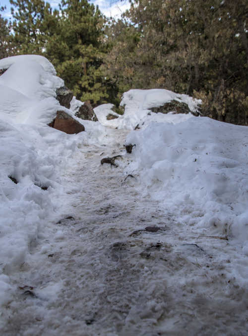 Snowy Trail