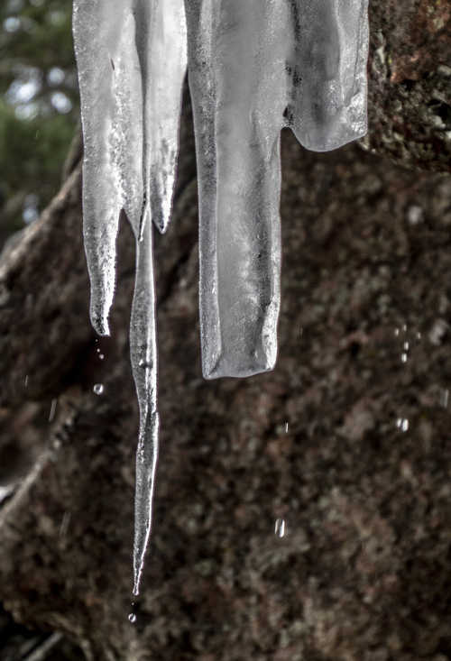 Drip