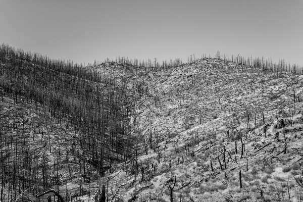 Hewlett Gulch Hike