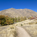 Fall Hike