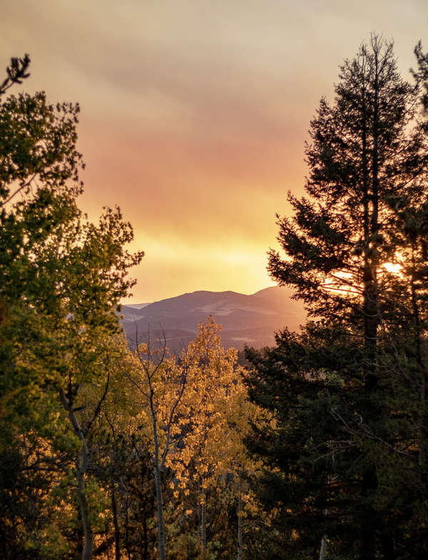 Fall Colors Hunt