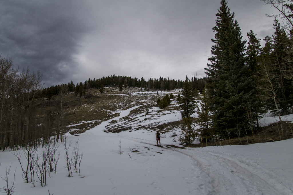 The Trail
