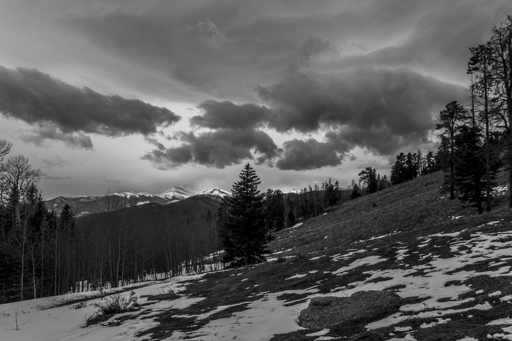 Windy Meadow