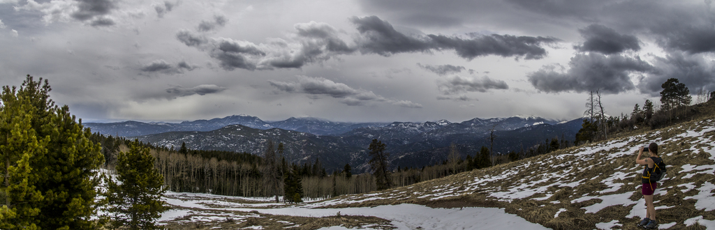 Meadow Panorama