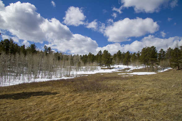 Empty Field