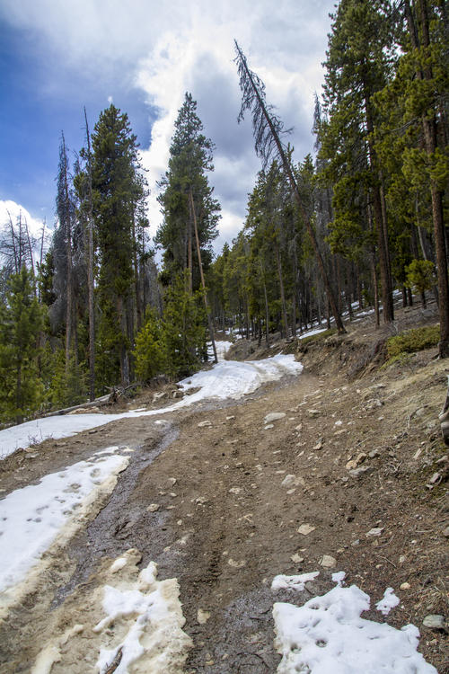 Patchy Road