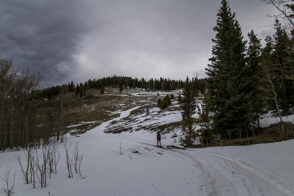 The Trail