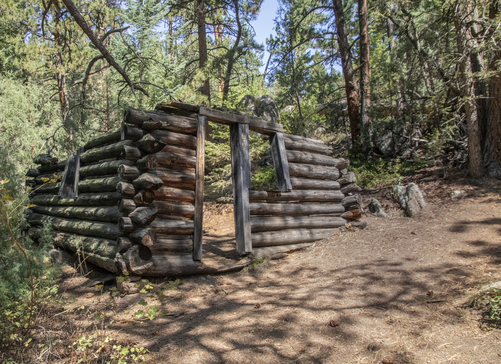 Abandoned Cabin