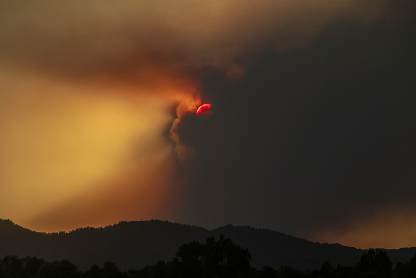 Eaten By the Smoke