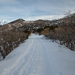 Snowy Path