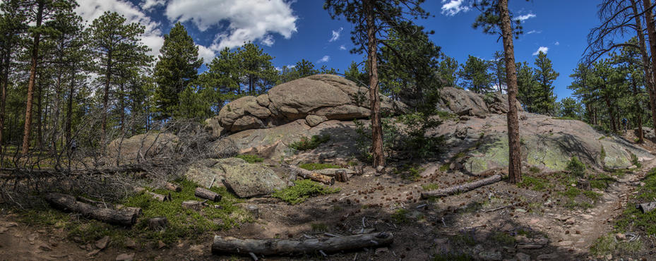 Trail Panorama