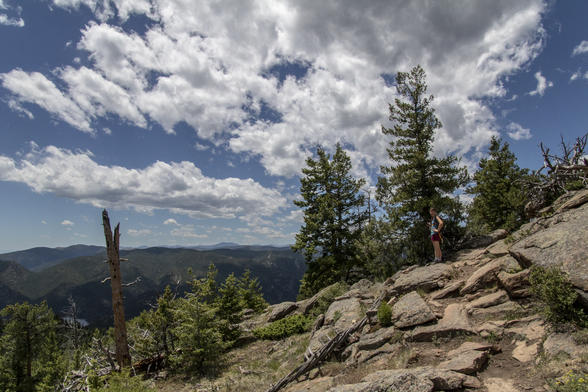 Rocky Trail