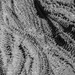 Muddy Bike Tracks