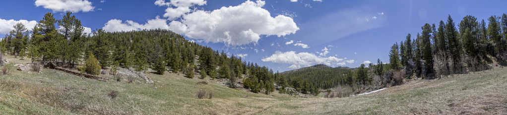 Meadow Panorama