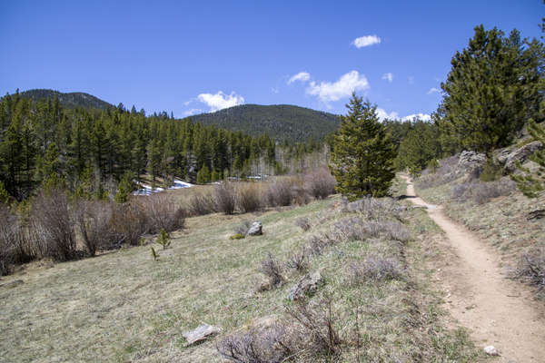 Lion Gulch