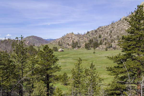 Gray Rock