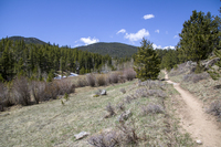Lion Gulch