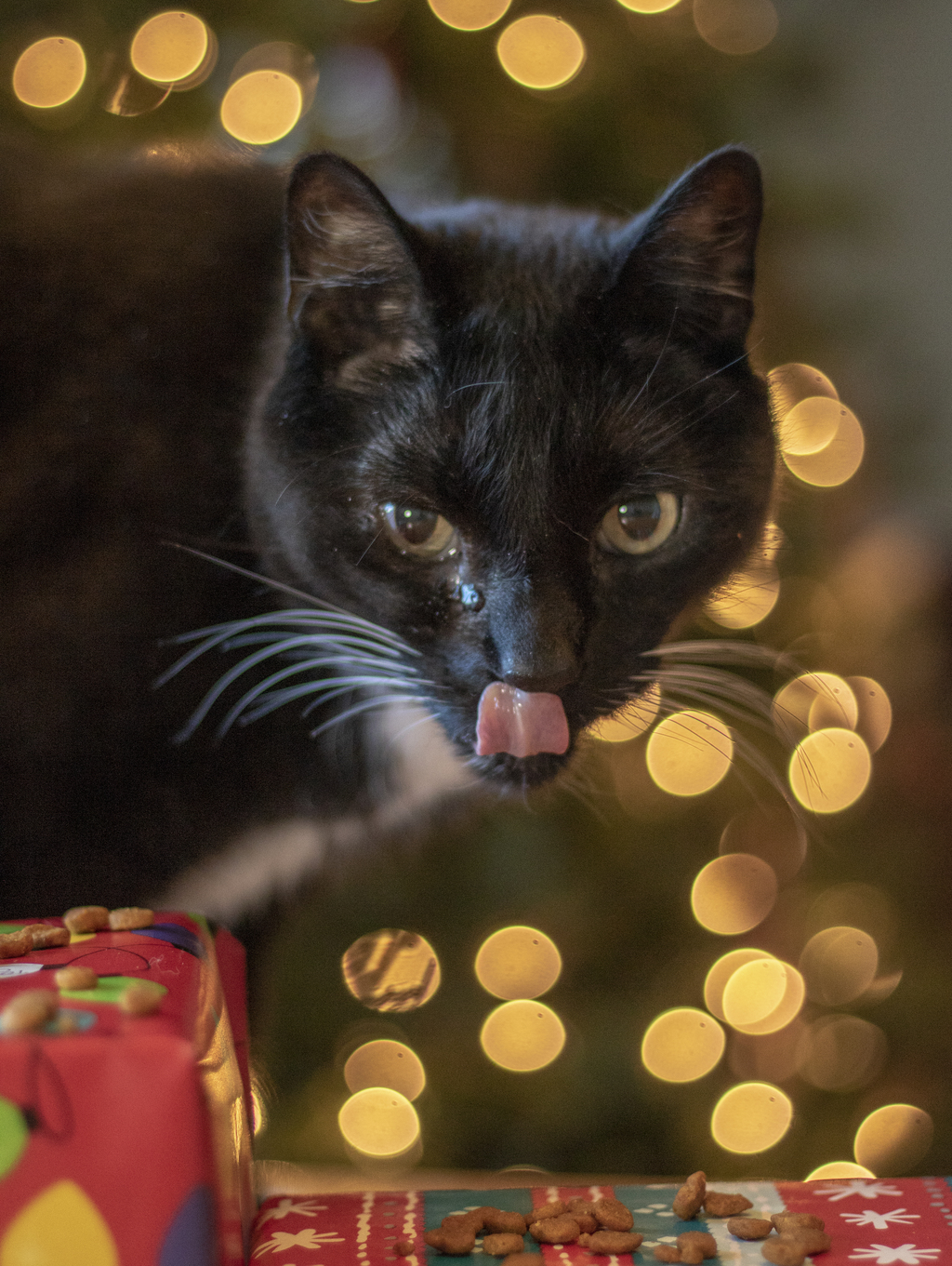 Lip Licking