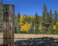 Leaf Peeping on the Point to Point Highway