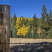 Leaf Peeping on the Point to Point Highway