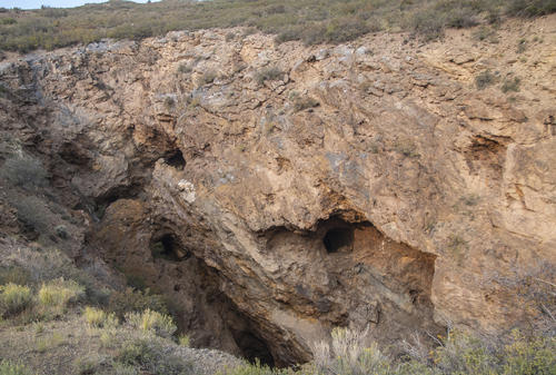 Orient Mine
