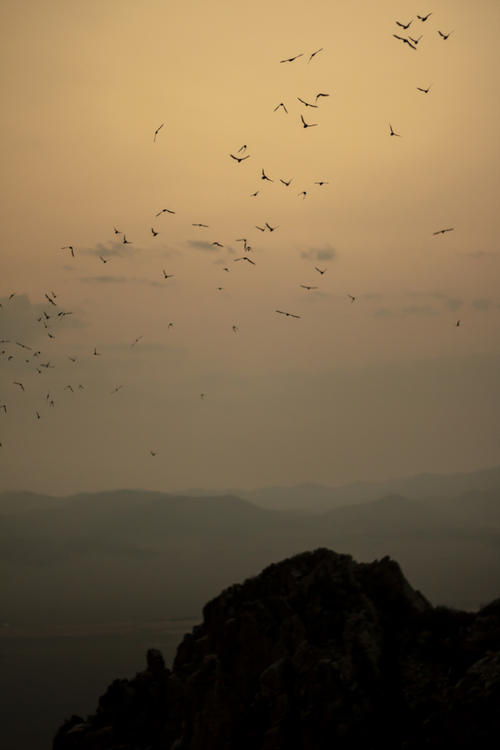 Flying Far