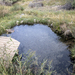 Meadow Pond