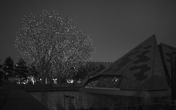 Science Pyramid