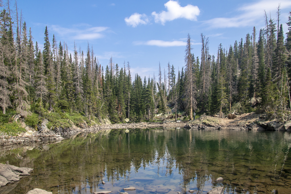 Lake Alcove