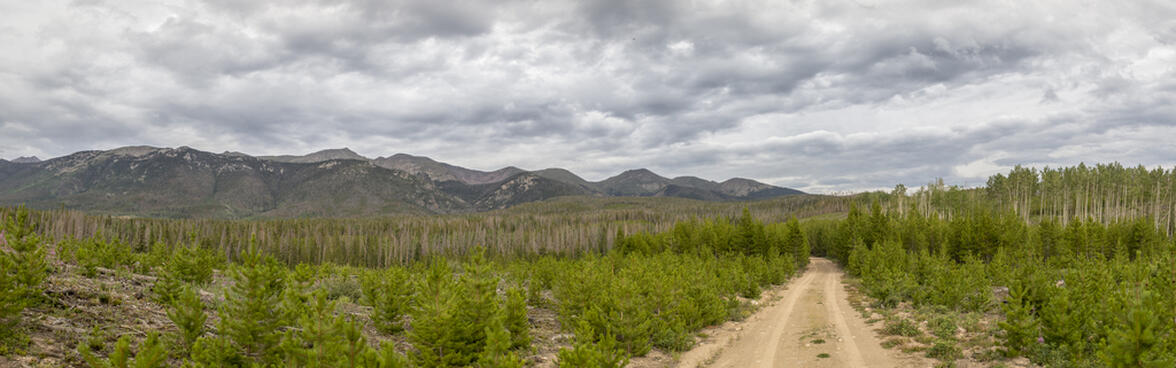 To the Overlook