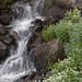 Waterfall Off the Trail