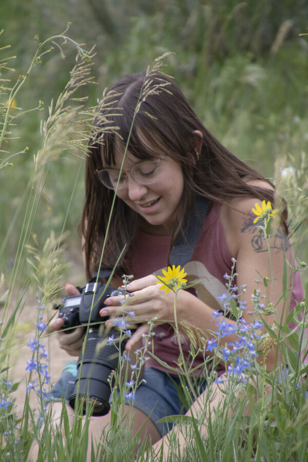 Wildflowers at Coyote Ridge