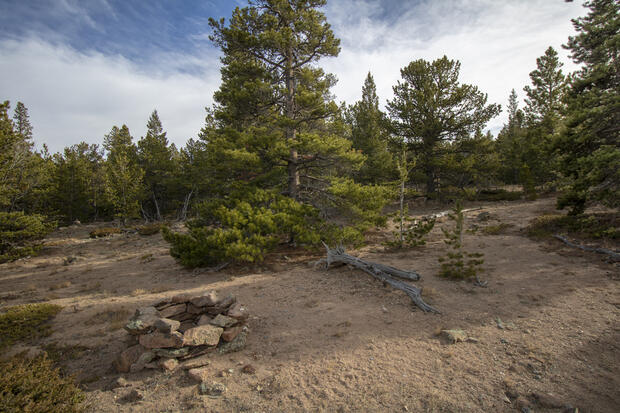 Taylor Mountain Fork