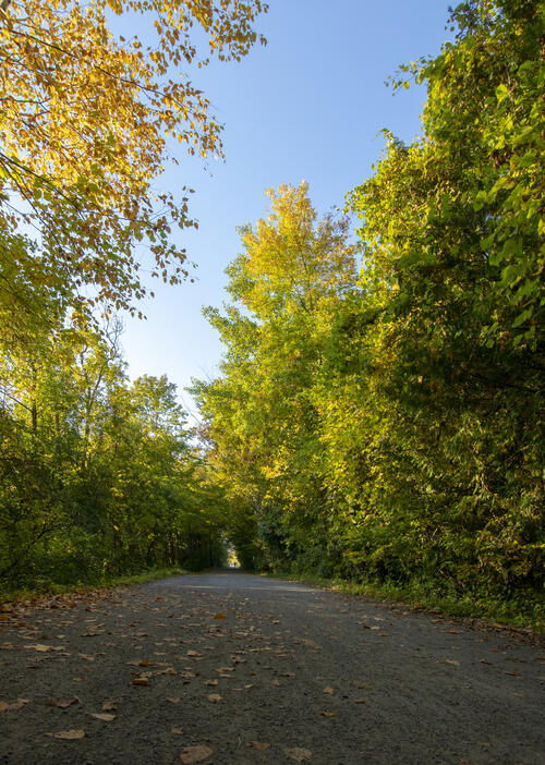 On the Trail