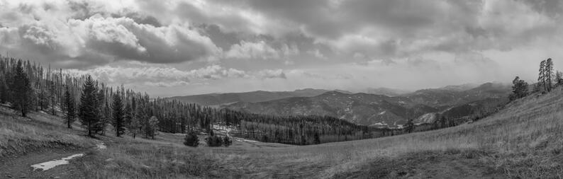 The Meadow