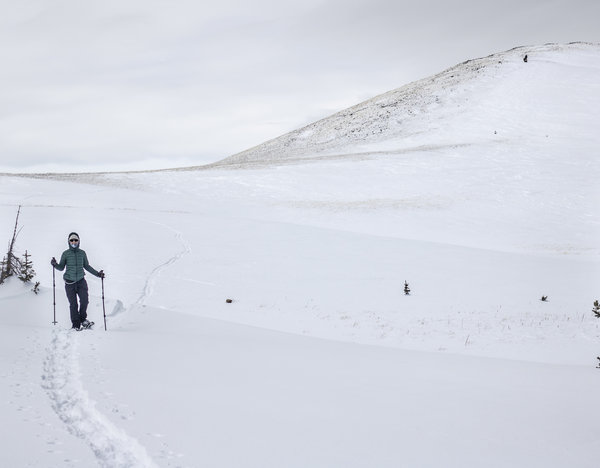 Snowshoeing Montgomery Pass