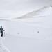 Snowshoeing Montgomery Pass