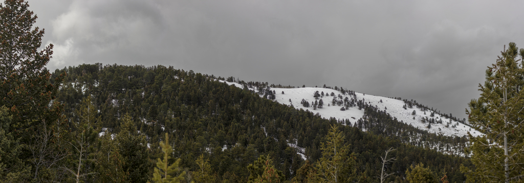 Bald Mountain