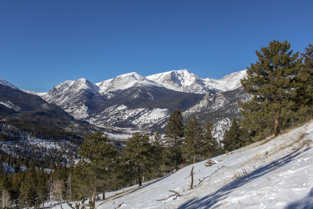Steep Meadow