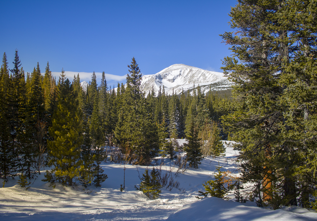 Mount Audubon