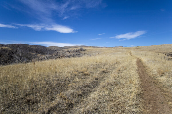 Hewlett Gulch