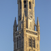 Belfort Tower in Golden Hour