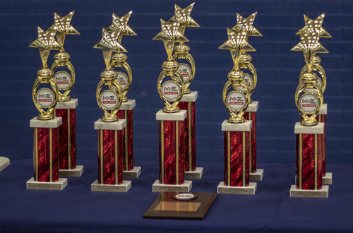 The Awards