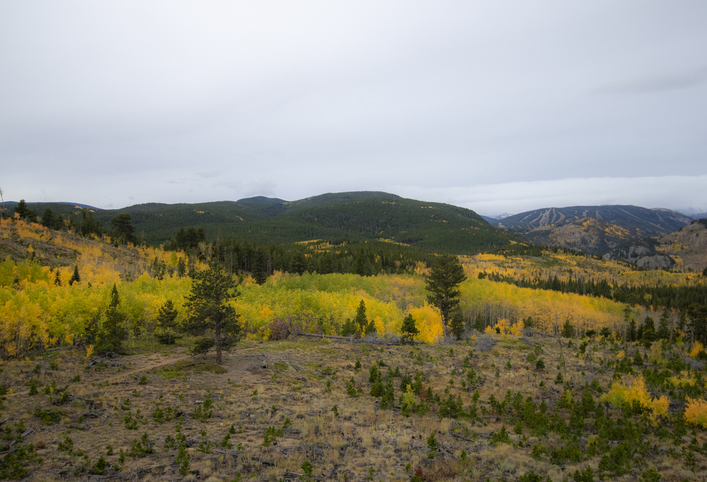 Aspen Alley